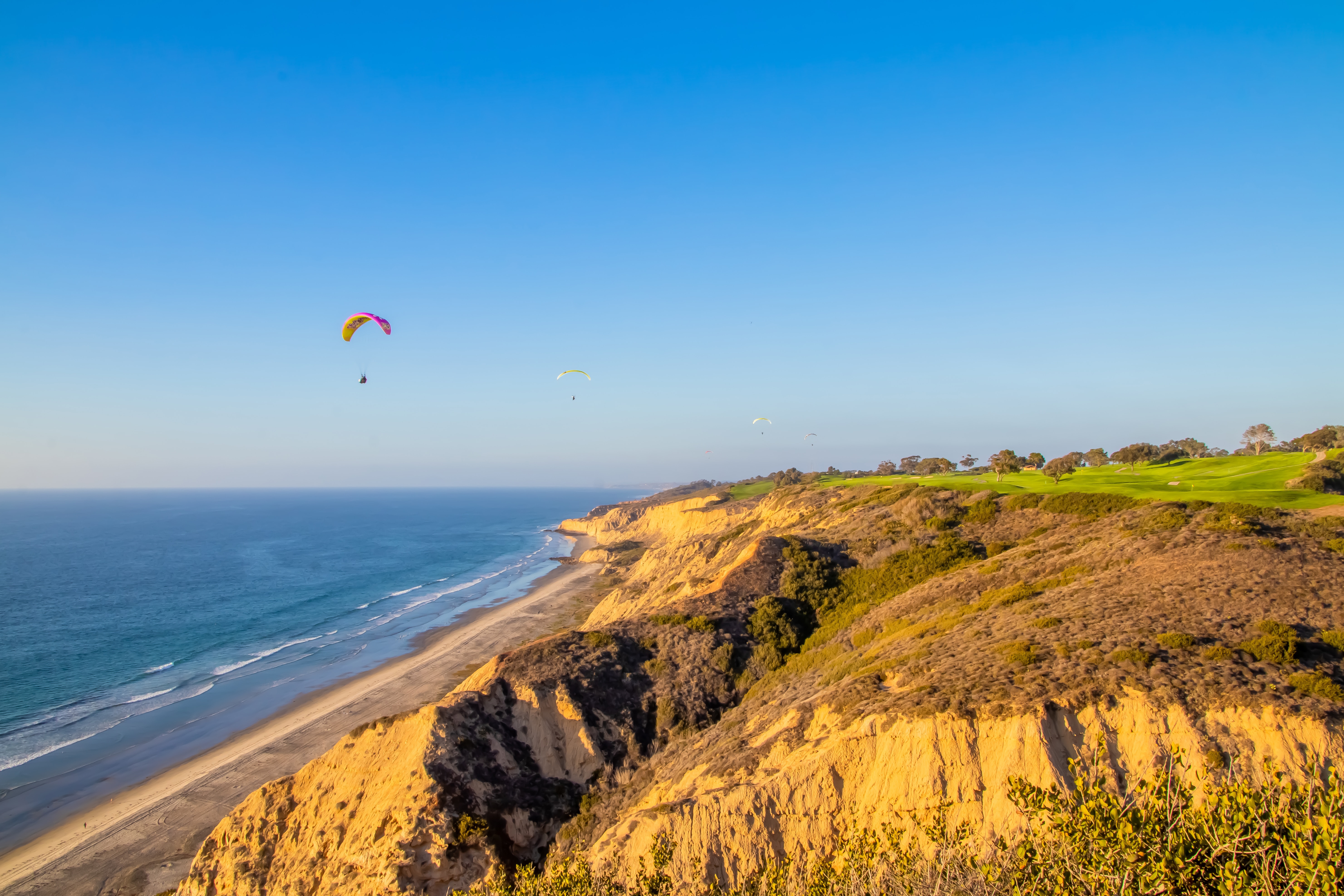 Torrey Pines Data Dashboard